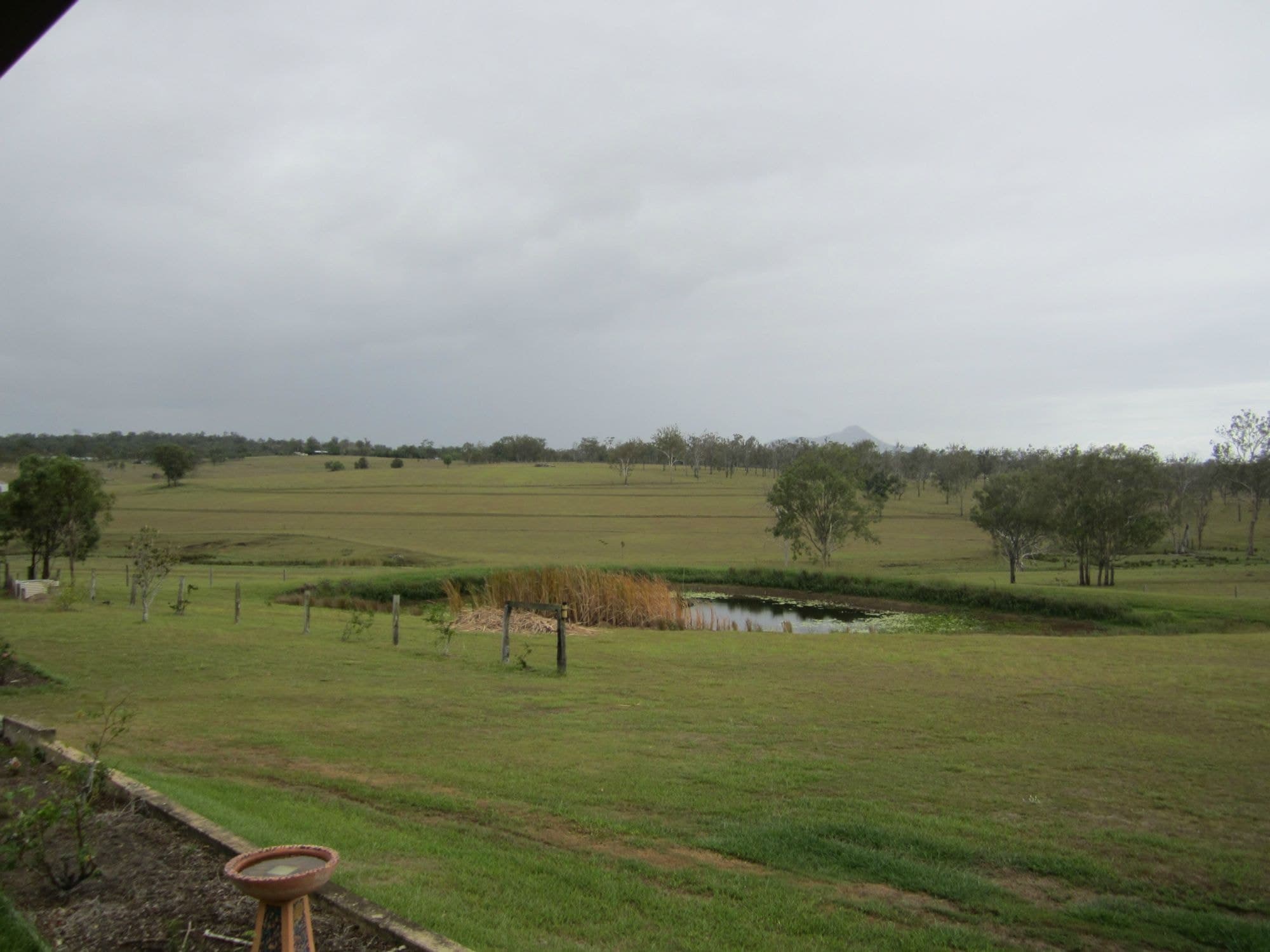 66 Wiley Road, Milora - Thumbnail 4