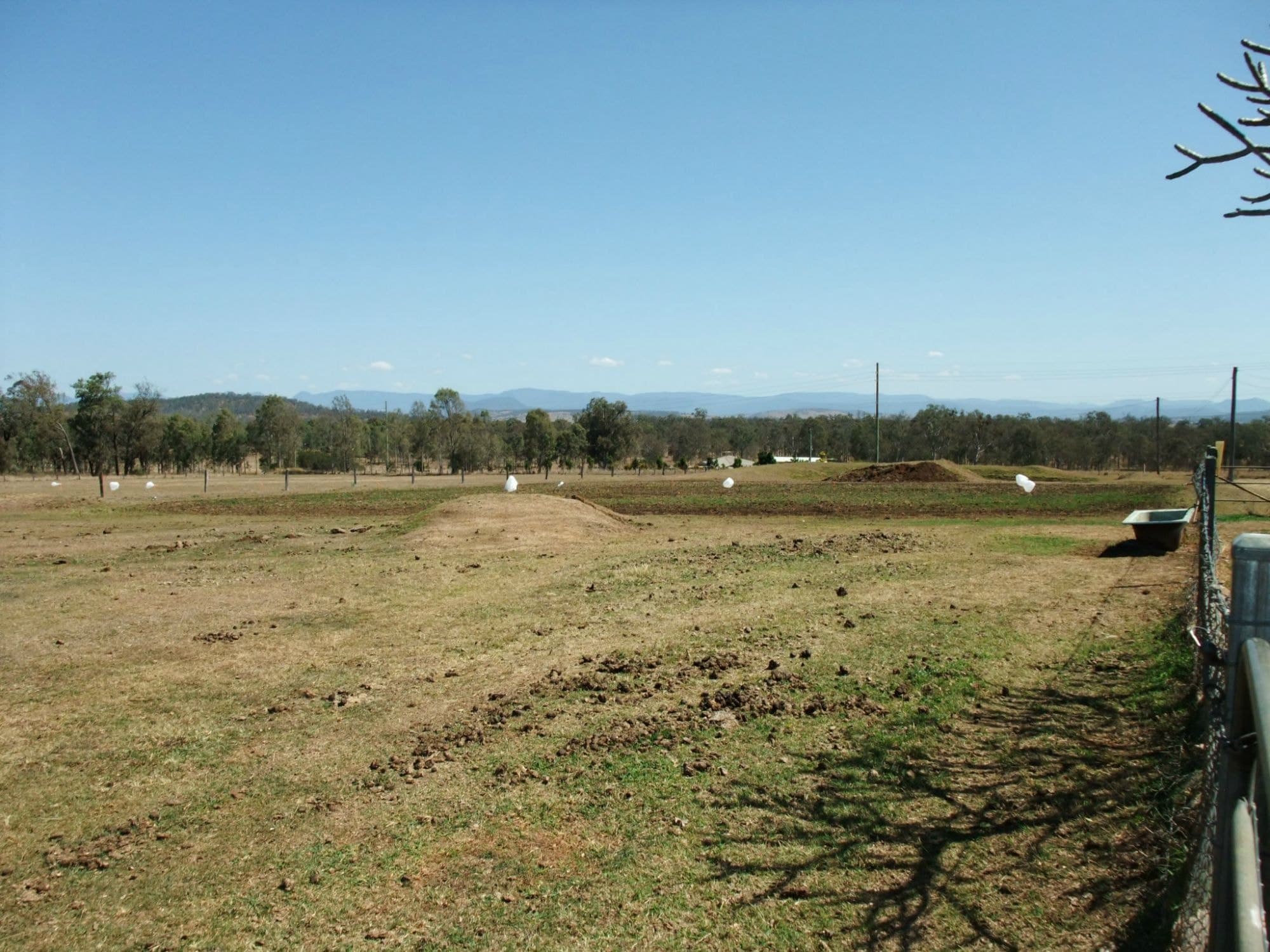878 MUNBILLA Road, Munbilla - Thumbnail 3