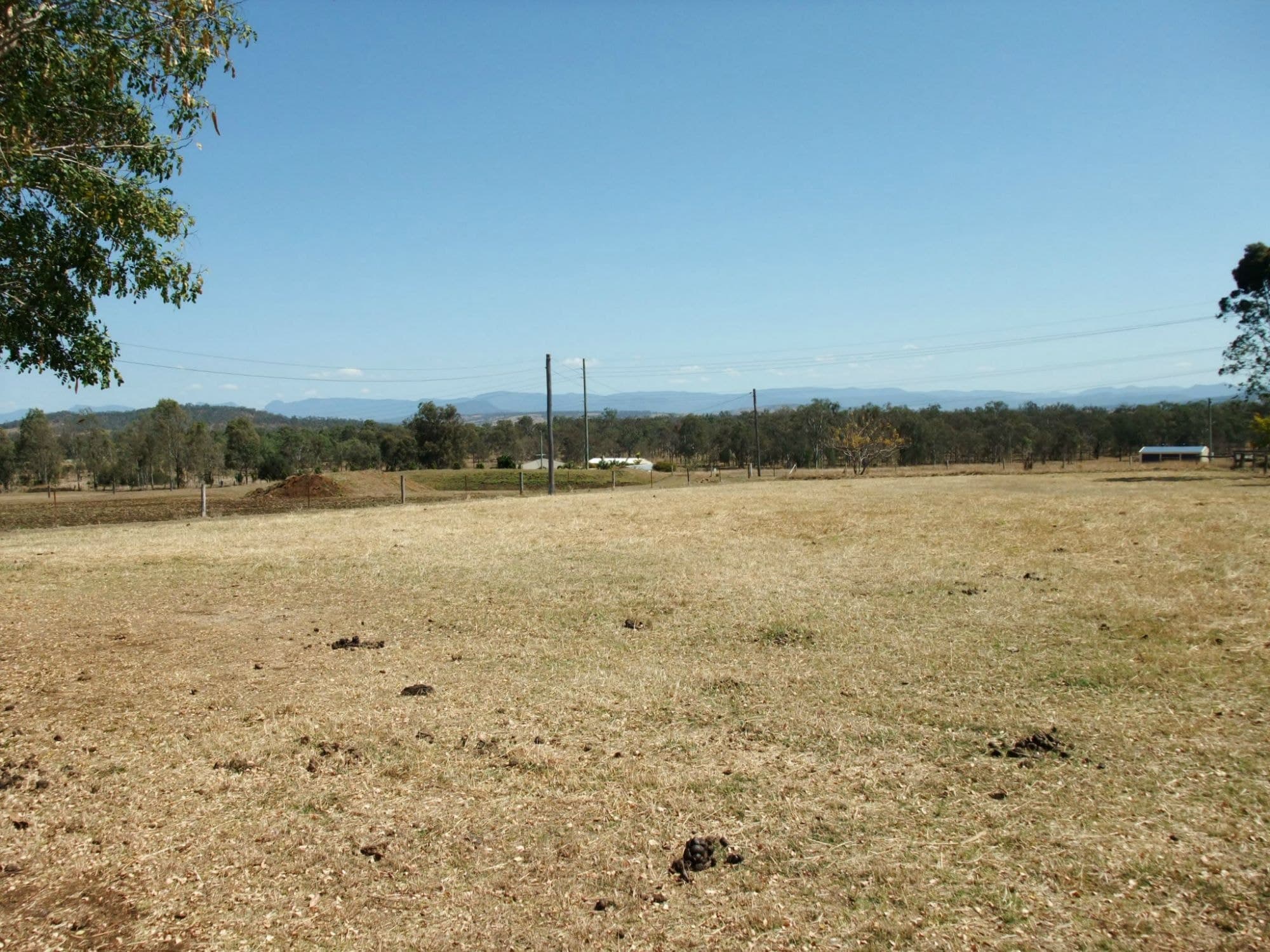878 MUNBILLA Road, Munbilla - Thumbnail 6