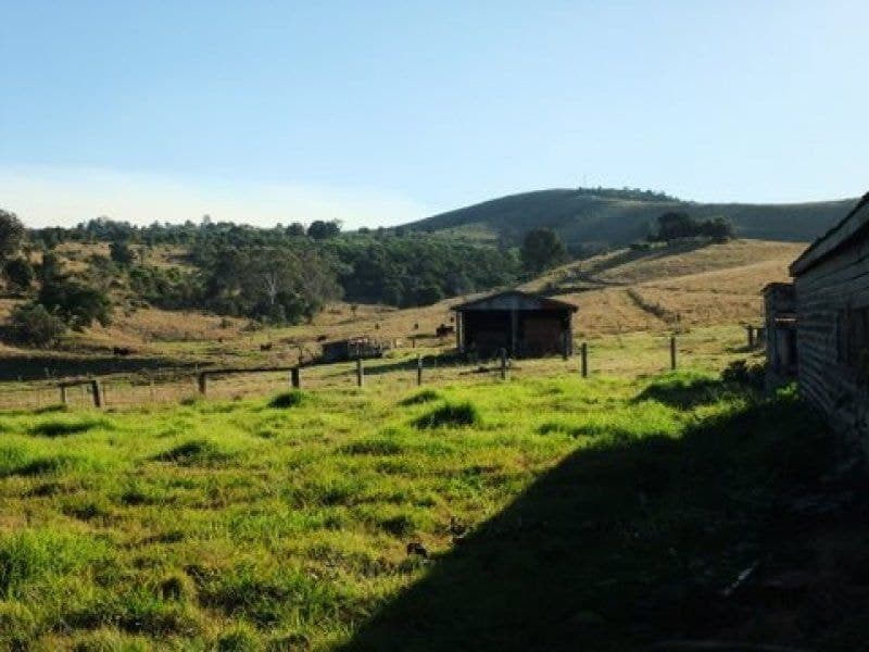 113 Anders Road, Mount Alford - Thumbnail 4