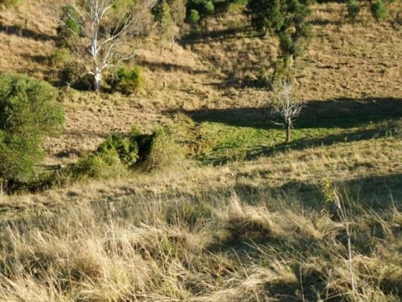 113 Anders Road, Mount Alford - Thumbnail 8