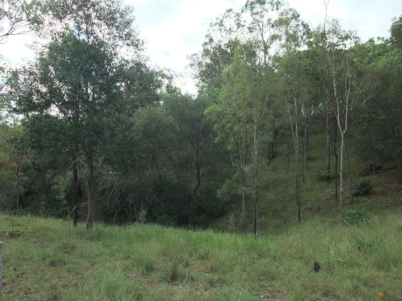 Lot 583 Ganthorpe Road, Coochin - Thumbnail 8