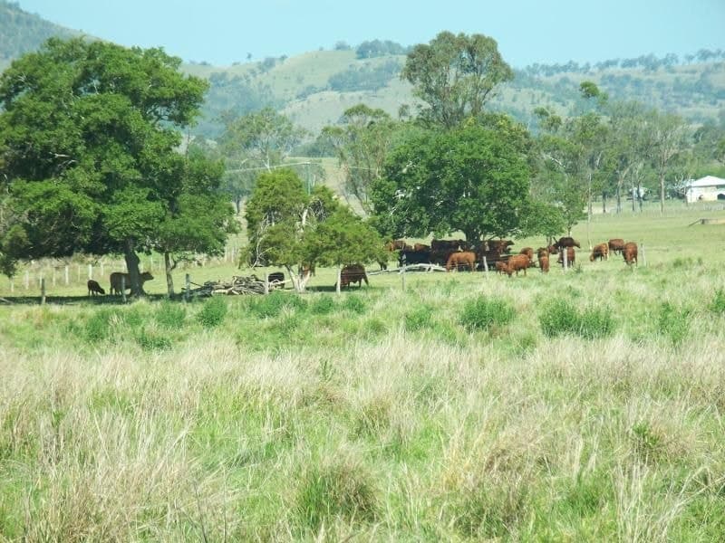Ganthorpe Road, Boonah - Thumbnail 3