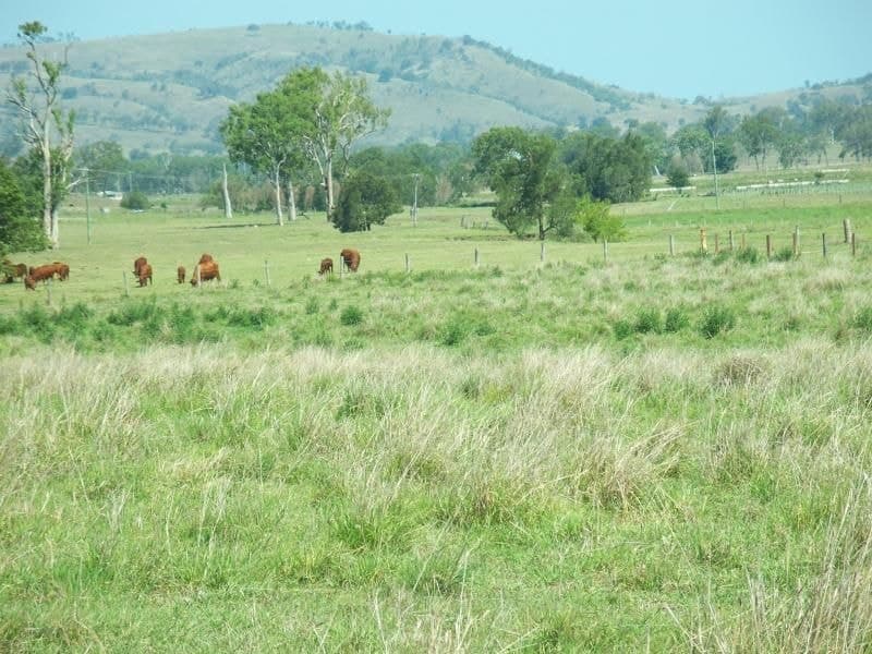 Ganthorpe Road, Boonah - Thumbnail 6