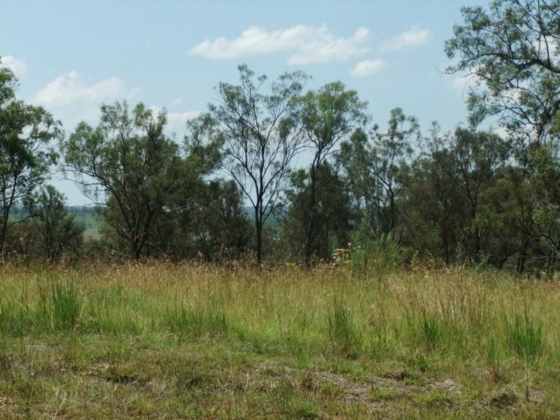 Lot 16 Duncan Drive, Aratula - Thumbnail 2