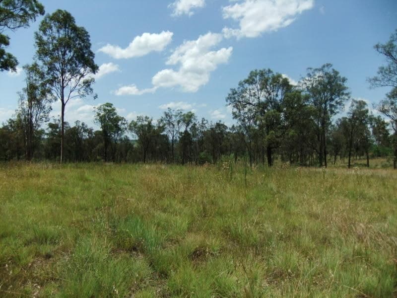 Lot 16 Duncan Drive, Aratula - Thumbnail 3