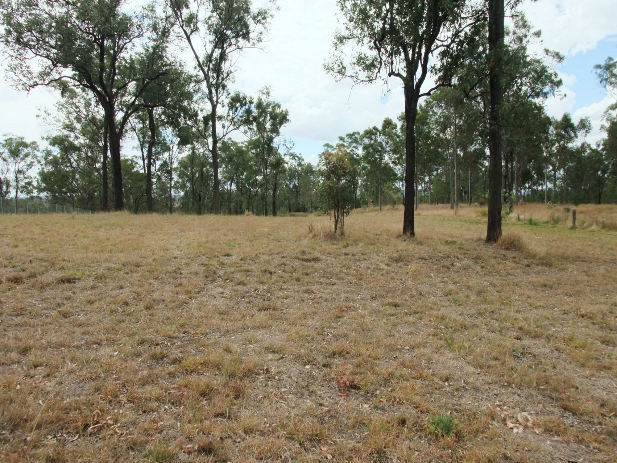 Lot 15 DUNCAN Drive, Aratula - Thumbnail 4