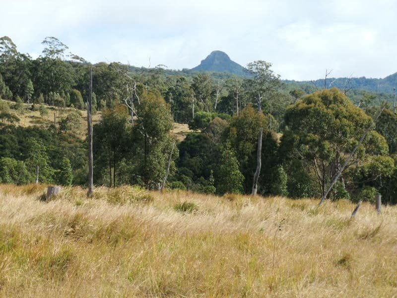 Lot 25 Carney's Creek Road, Carneys Creek - Image 1