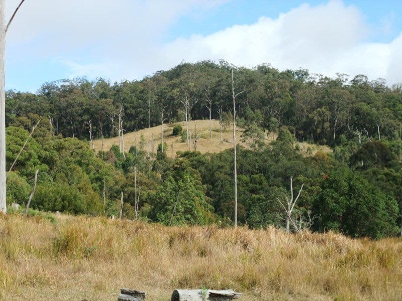 Lot 25 Carney's Creek Road, Carneys Creek - Thumbnail 2