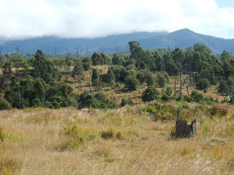 Lot 25 Carney's Creek Road, Carneys Creek - Thumbnail 4