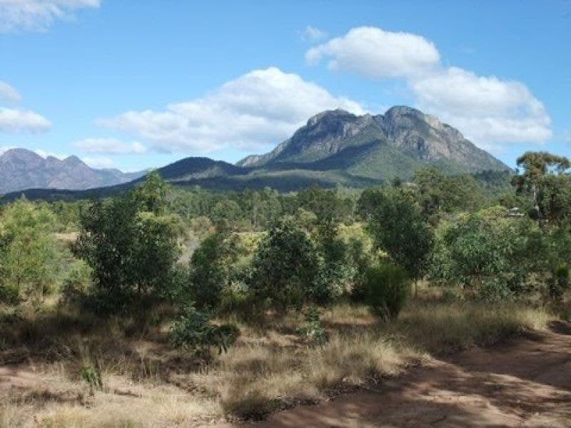 Lot 180 Forest Home Road, Rathdowney - Thumbnail 3