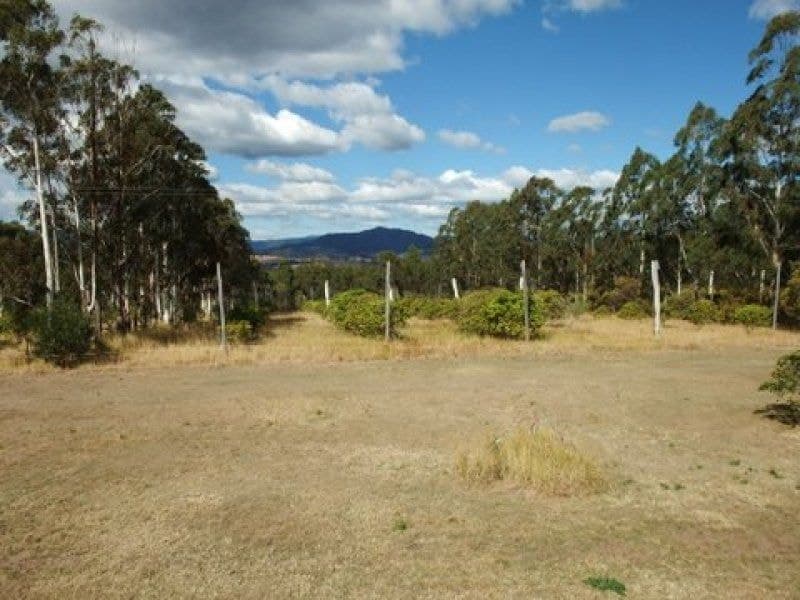Lot 180 Forest Home Road, Rathdowney - Thumbnail 5
