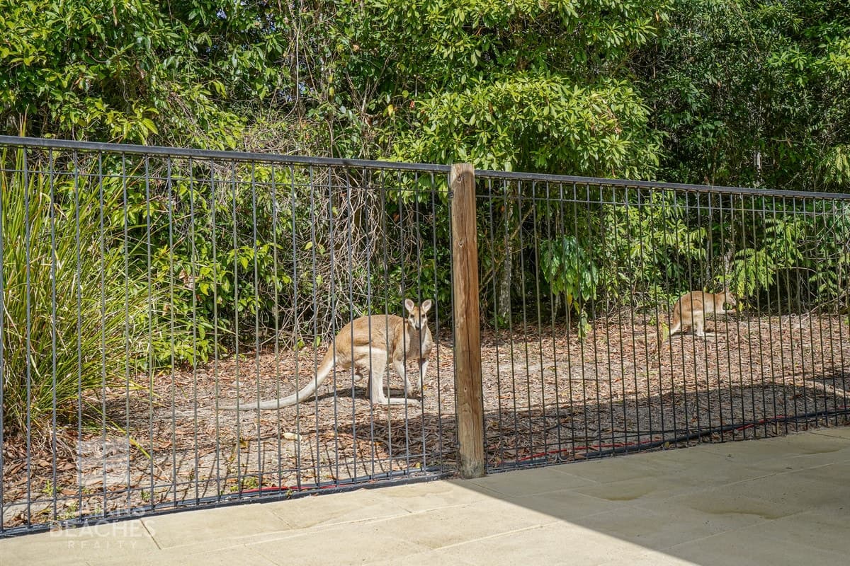 5 Monterey Street, Kewarra Beach - Thumbnail 8