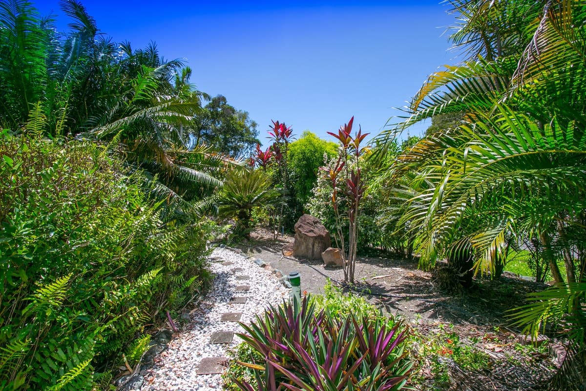 1 Haycock Street, Clifton Beach - Thumbnail 5