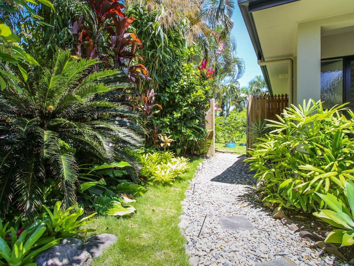 1 Alva Close, Kewarra Beach - Thumbnail 2