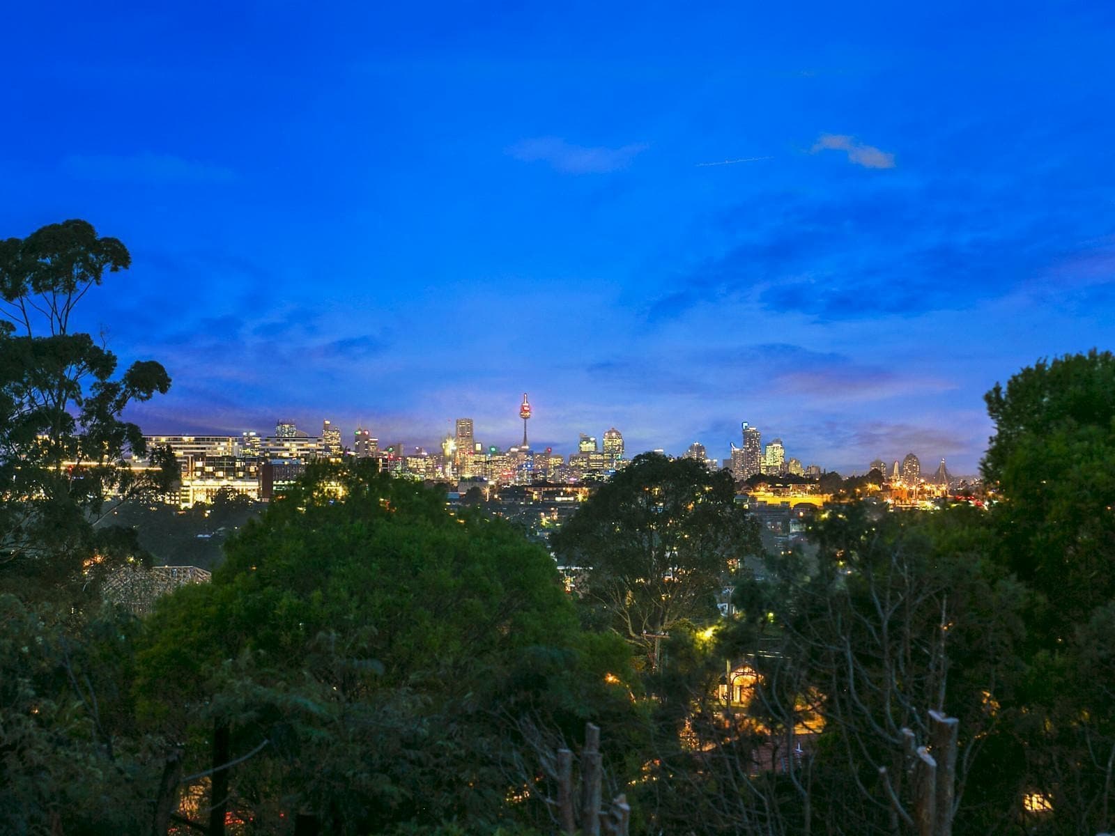 75 Tarrants Avenue, EASTWOOD, Eastwood - Thumbnail 7