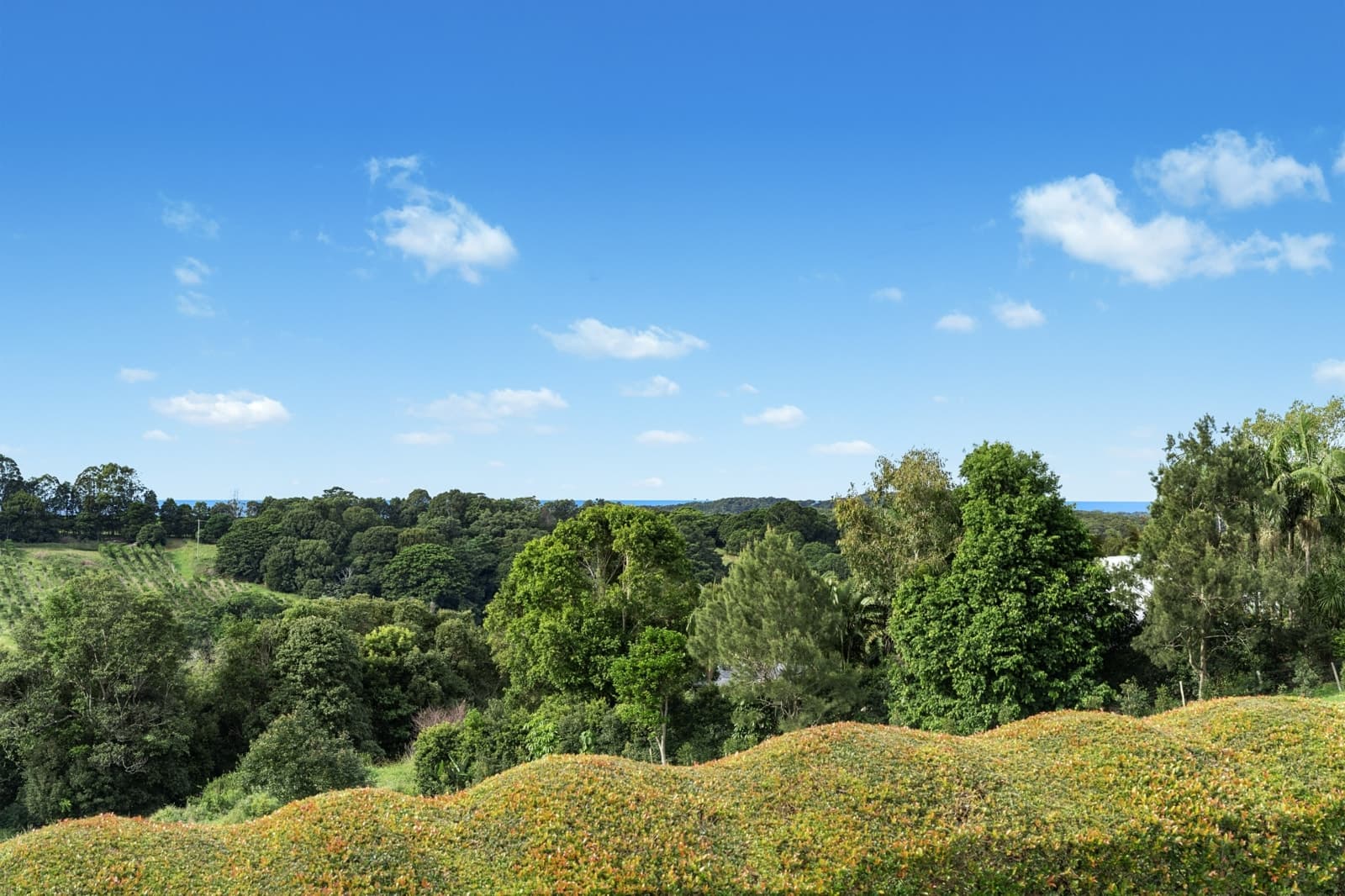 157 Coopers Shoot Road, COOPERS SHOOT, Coopers Shoot - Thumbnail 5