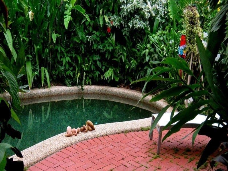 44 Terebra Street, Palm Cove - Thumbnail 4