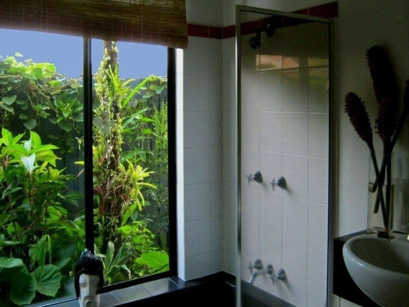 44 Terebra Street, Palm Cove - Thumbnail 5