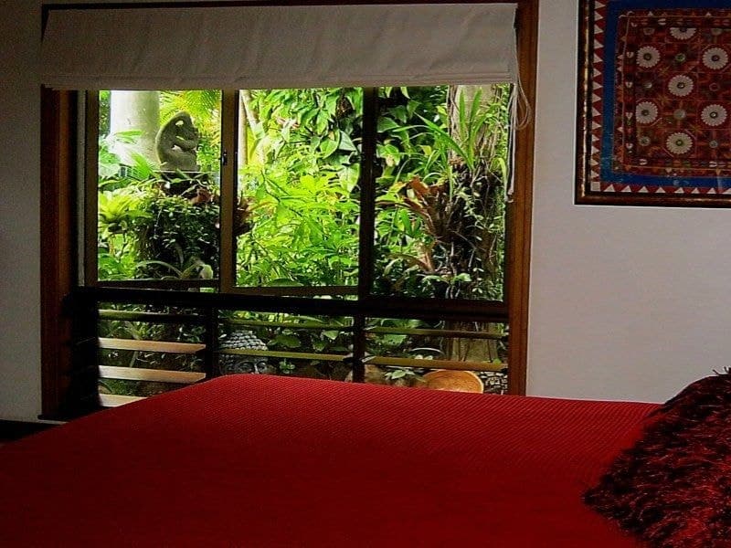 44 Terebra Street, Palm Cove - Thumbnail 8