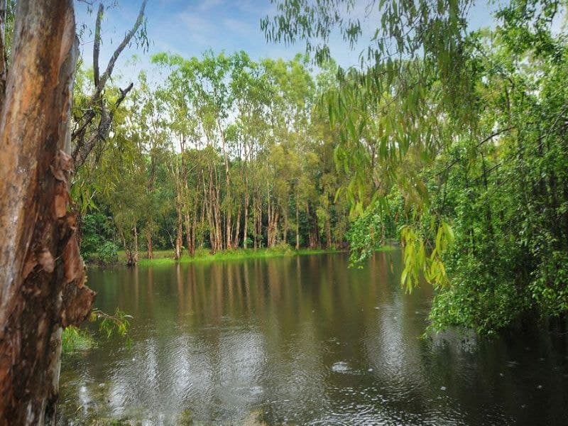 14 Brolga Street, Kewarra Beach - Thumbnail 4