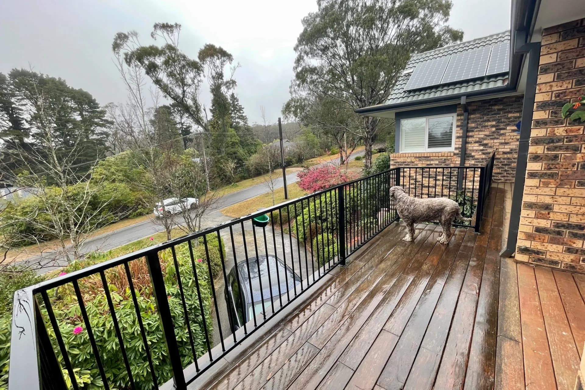 3 Geggie Street, Wentworth Falls, NSW, Wentworth Falls - Thumbnail 7