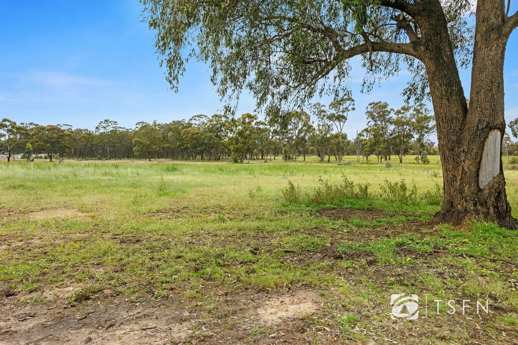 44 Racecourse Road, Ascot VIC 3551, Ascot - Thumbnail 4