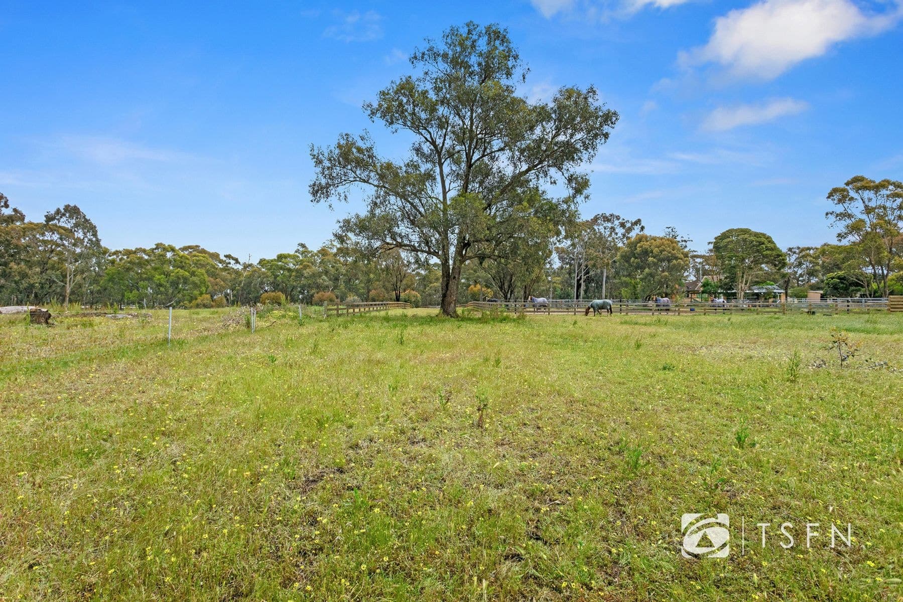 44 Racecourse Road, Ascot VIC 3551, Ascot - Thumbnail 5