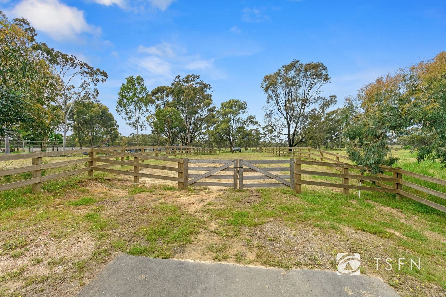 44 Racecourse Road, Ascot VIC 3551, Ascot - Thumbnail 6