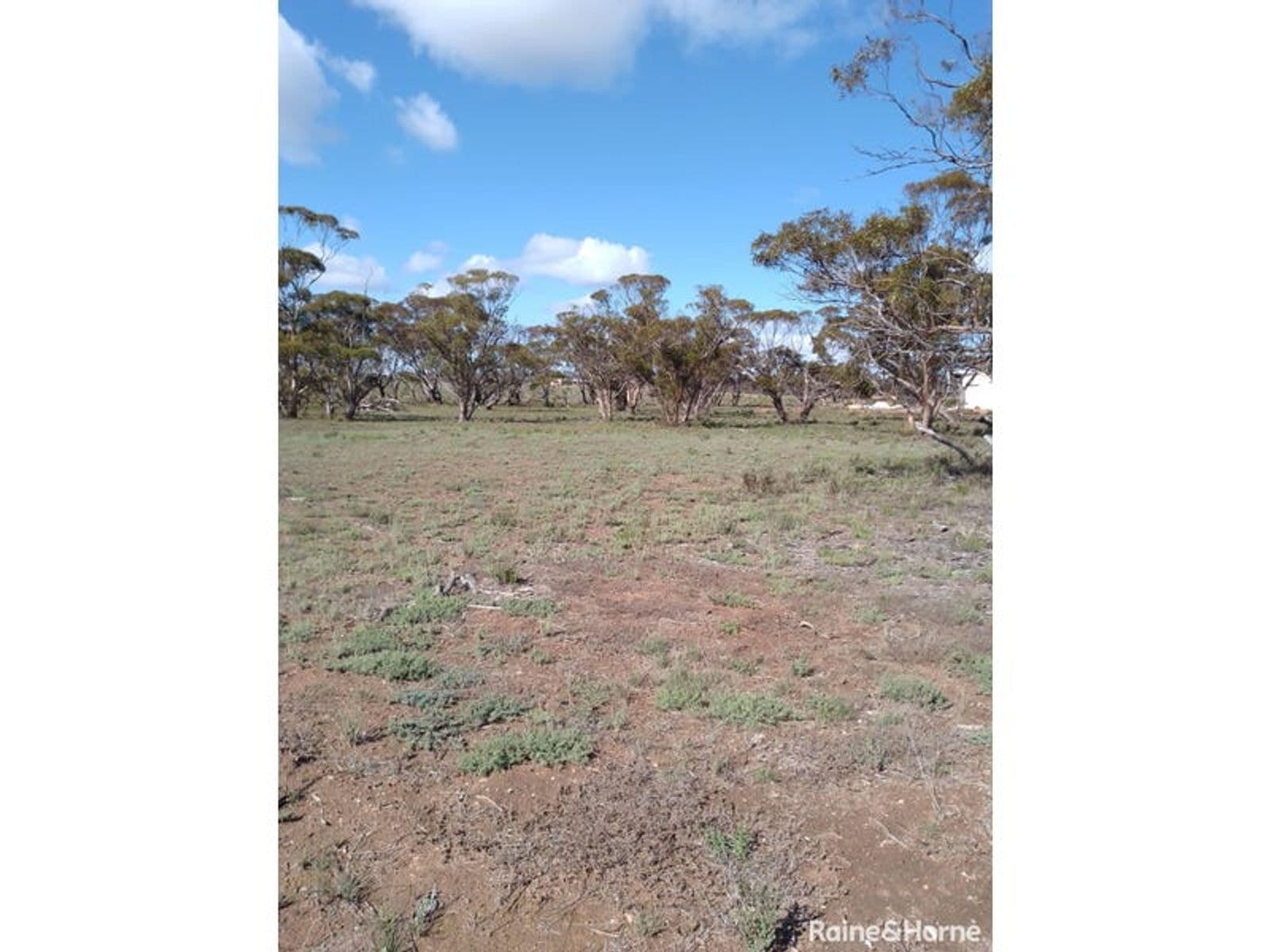 Jamieson Street


Ravensthorpe WA 6346, Ravensthorpe - Thumbnail 7