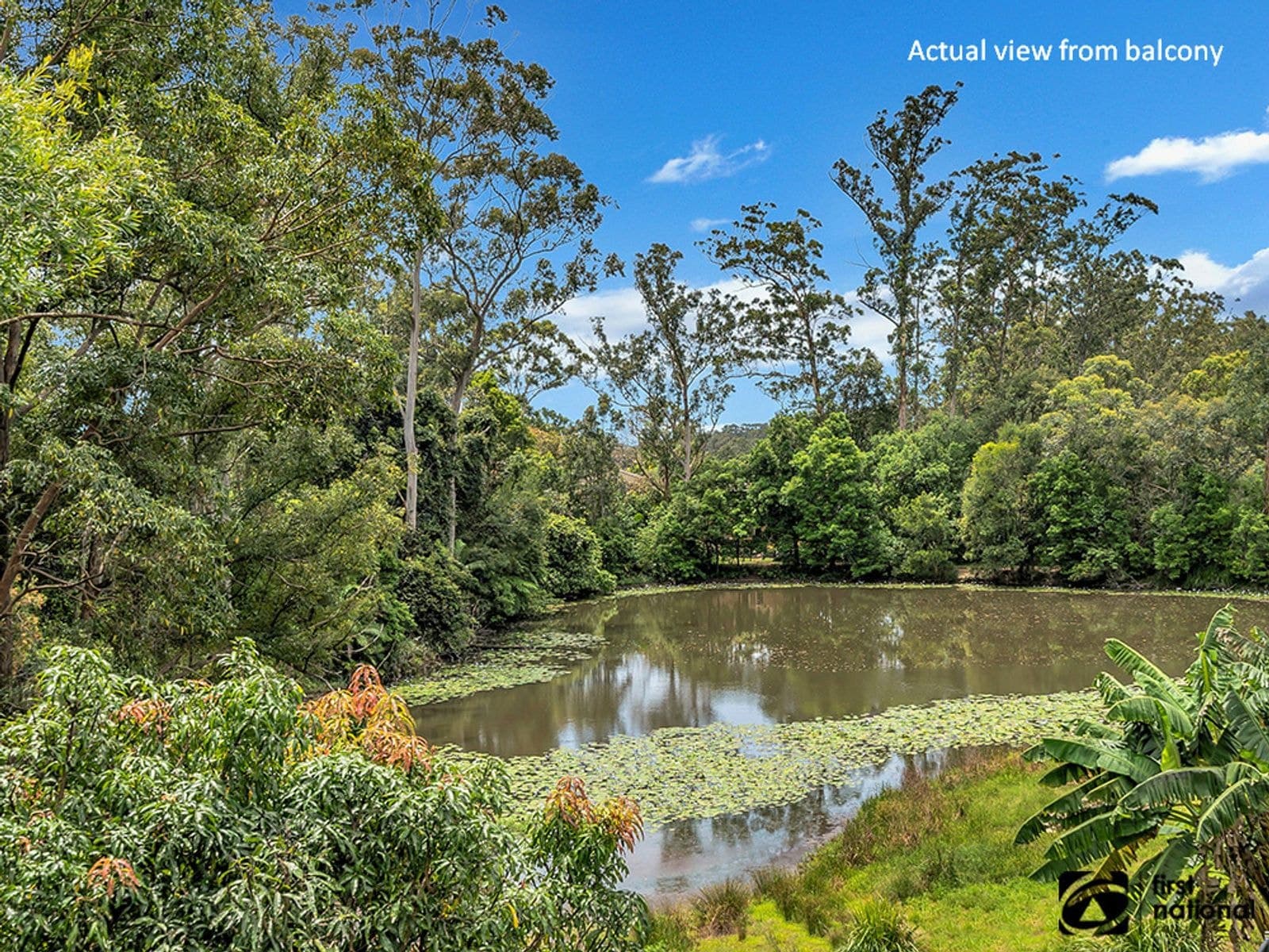 63 Kinchela Avenue, Toormina NSW 2452, Boambee East - Thumbnail 4