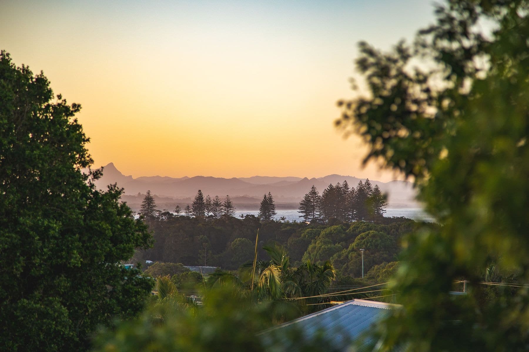 1/50 Paterson Street, Byron Bay NSW 2481, Byron Bay - Thumbnail 6