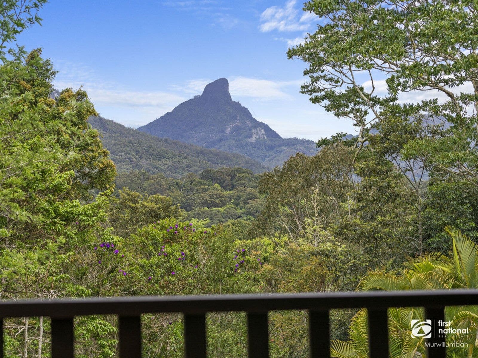 1203 Kyogle Road, Uki NSW 2484, Uki - Thumbnail 6