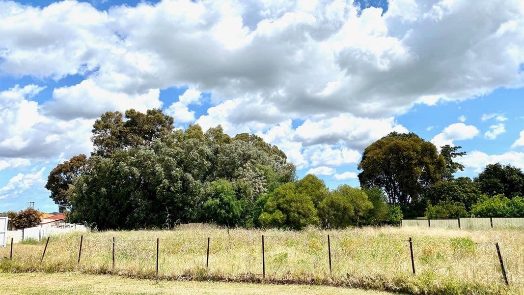 9 Pisconeri Heights, Waroona WA 6215, Waroona - Image 1