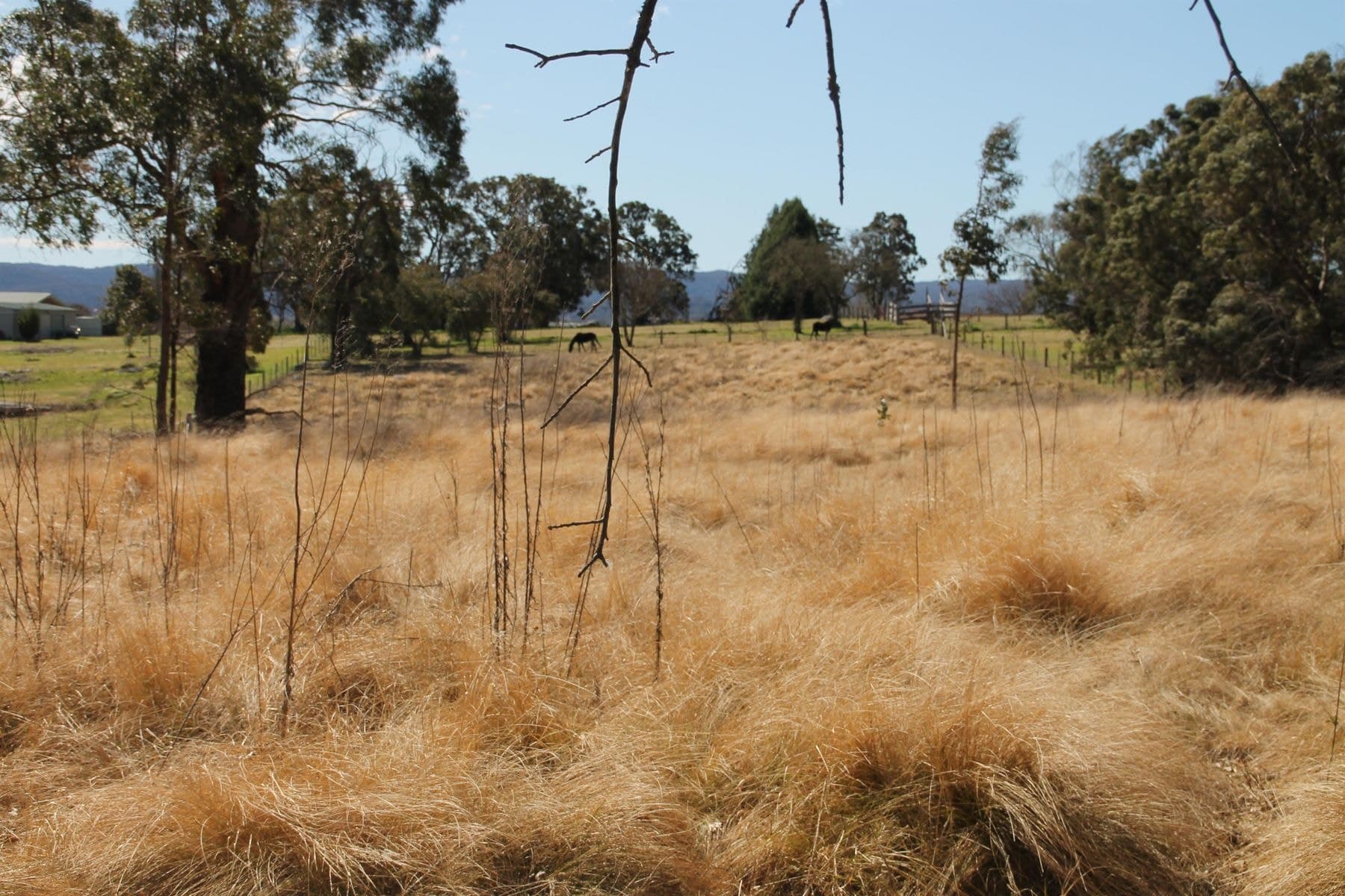 12 Casino Road, Tenterfield NSW 2372, Tenterfield - Thumbnail 2