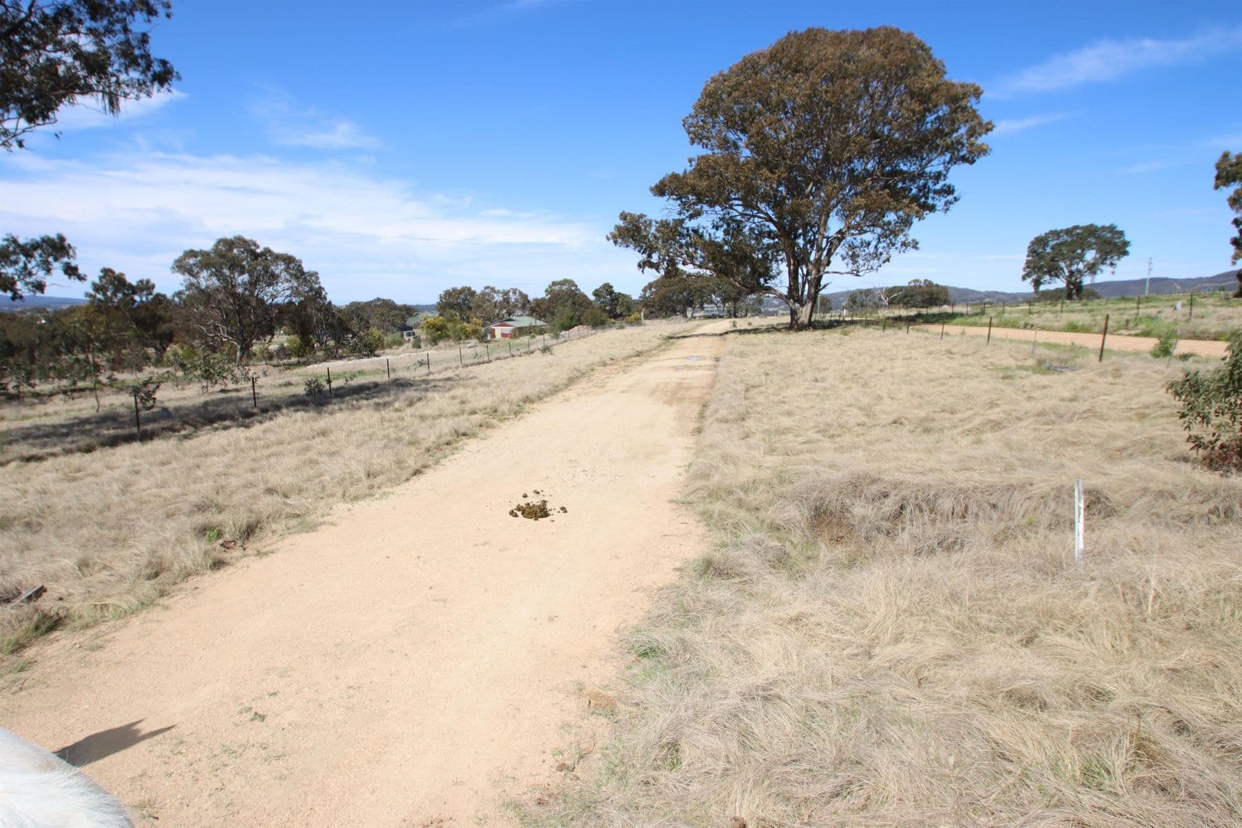 54 Neagles Lane, Tenterfield NSW 2372, Tenterfield - Thumbnail 2