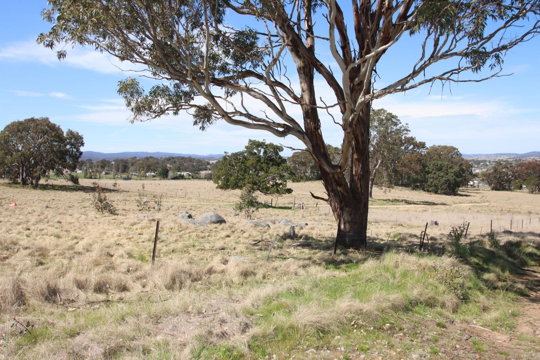 54 Neagles Lane, Tenterfield NSW 2372, Tenterfield - Thumbnail 4
