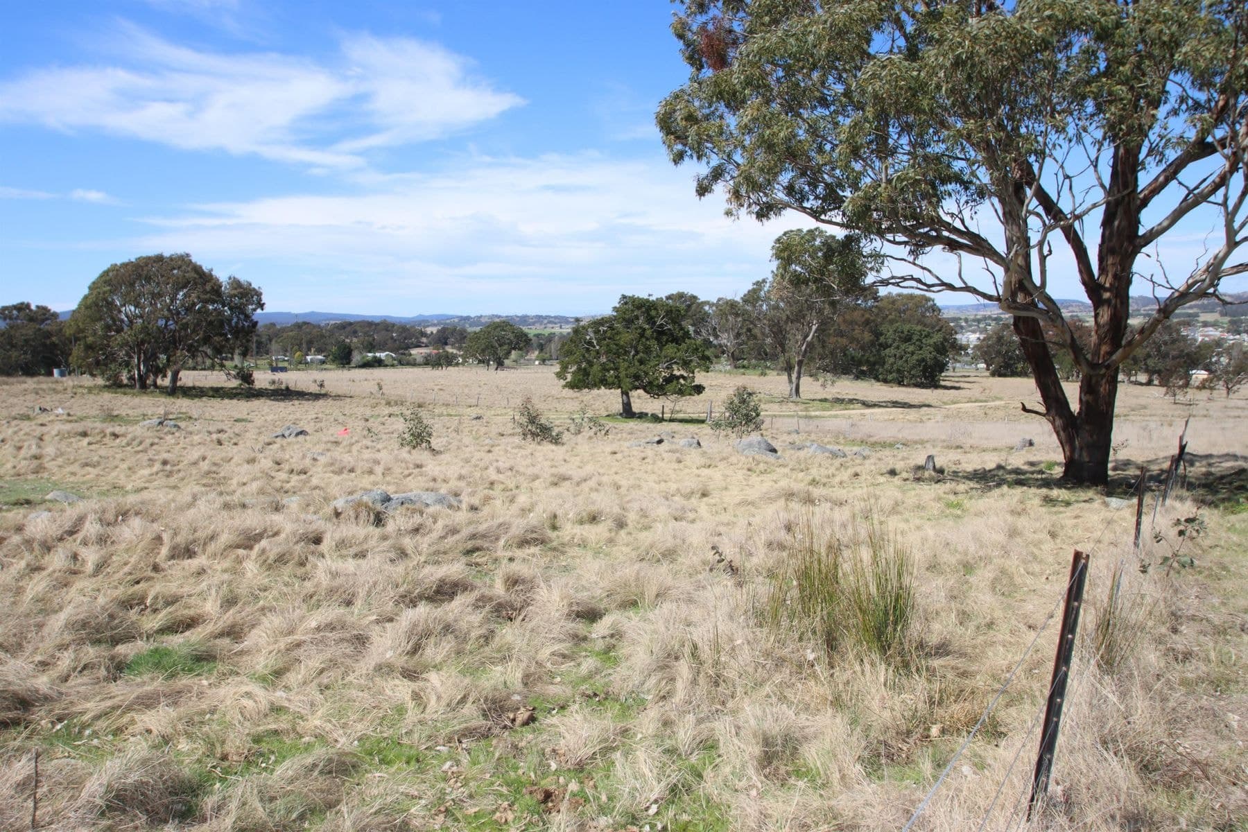 54 Neagles Lane, Tenterfield NSW 2372, Tenterfield - Thumbnail 5