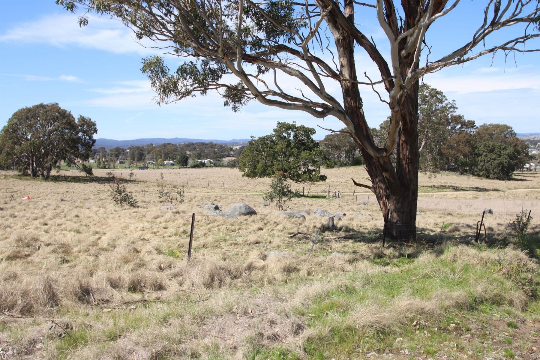 54 Neagles Lane, Tenterfield NSW 2372, Tenterfield - Thumbnail 8