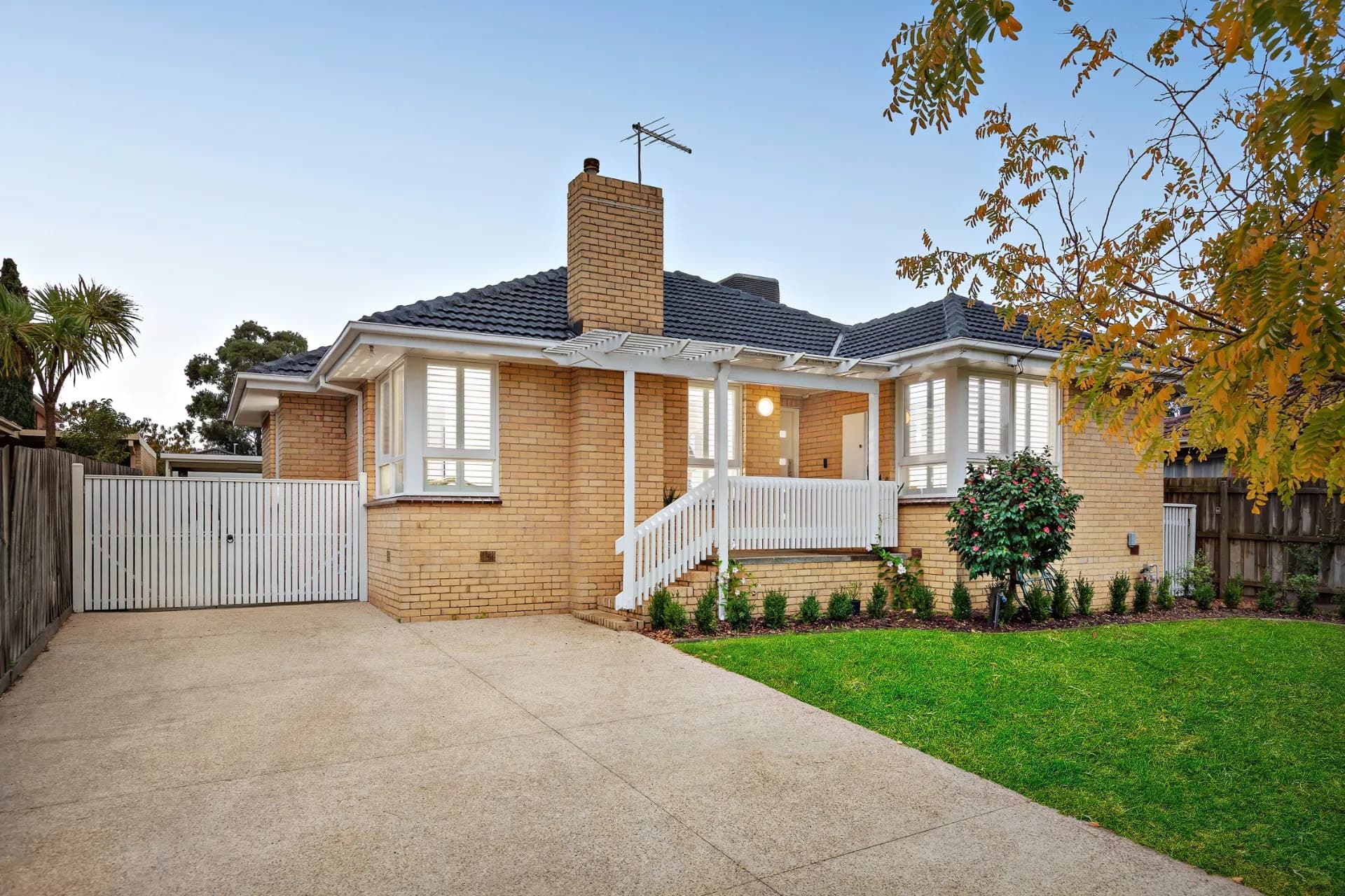 19 Torquay Avenue, Chadstone, VIC, Chadstone - Image 1