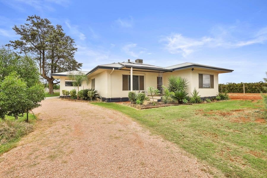 19 Lowan Avenue, Red Cliffs VIC 3496, Red Cliffs - Image 1