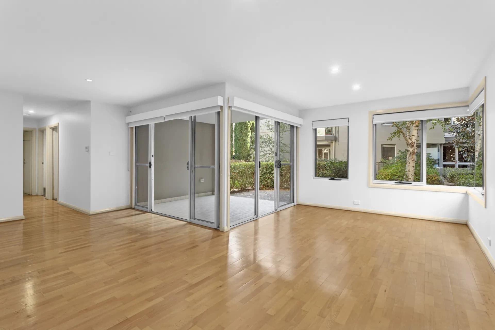 14/2 Leichhardt Street, Griffith, ACT, Griffith - Thumbnail 4