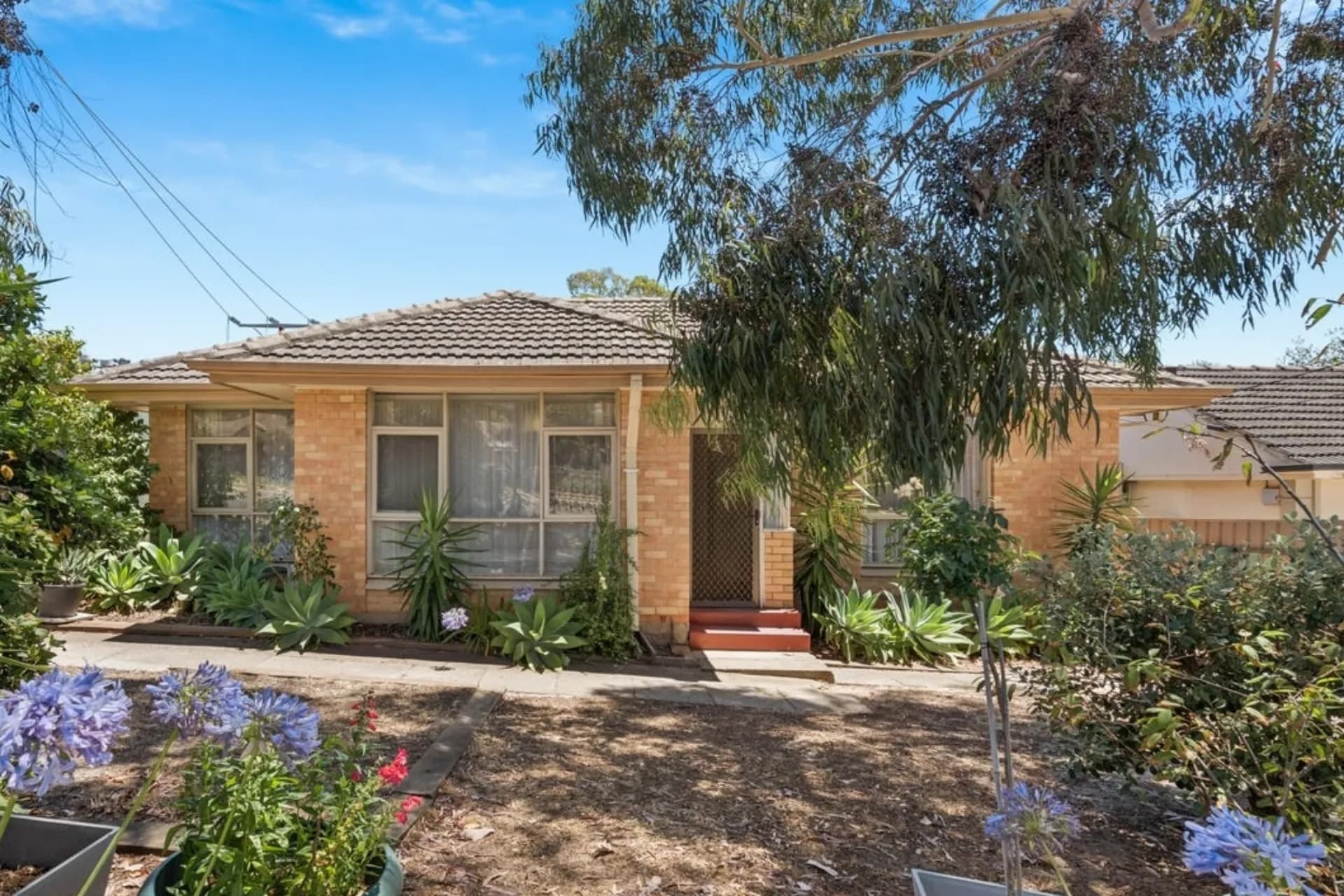 214 Hancock Road, Redwood Park, SA, Redwood Park - Image 1