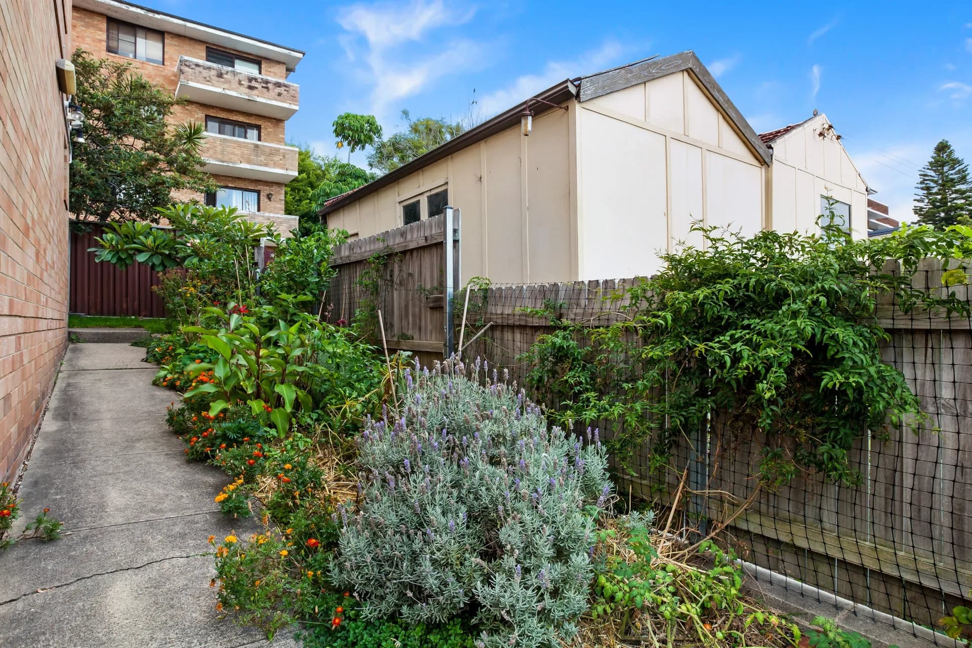 Unit 7/1 Ada Street, Randwick, NSW, Randwick - Thumbnail 4