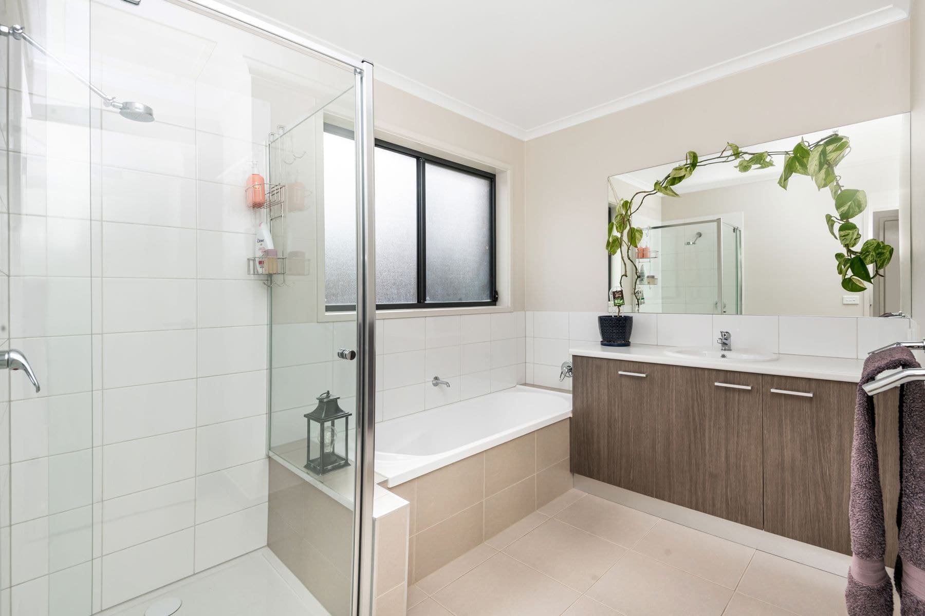 8 Carrington Close, White Hills VIC 3550, White Hills - Thumbnail 8