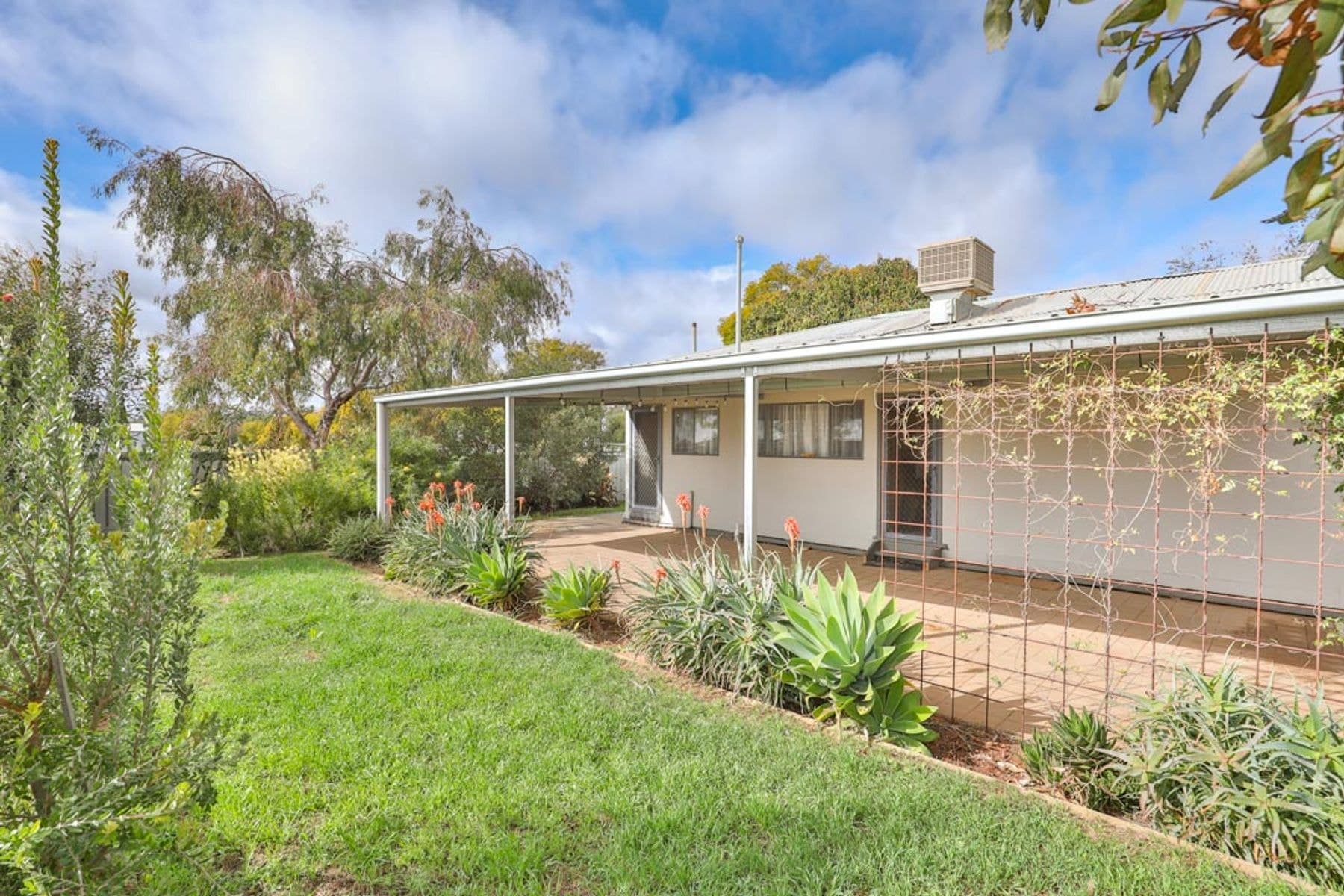 29 Pitman Avenue, Buronga NSW 2739, Buronga - Thumbnail 3
