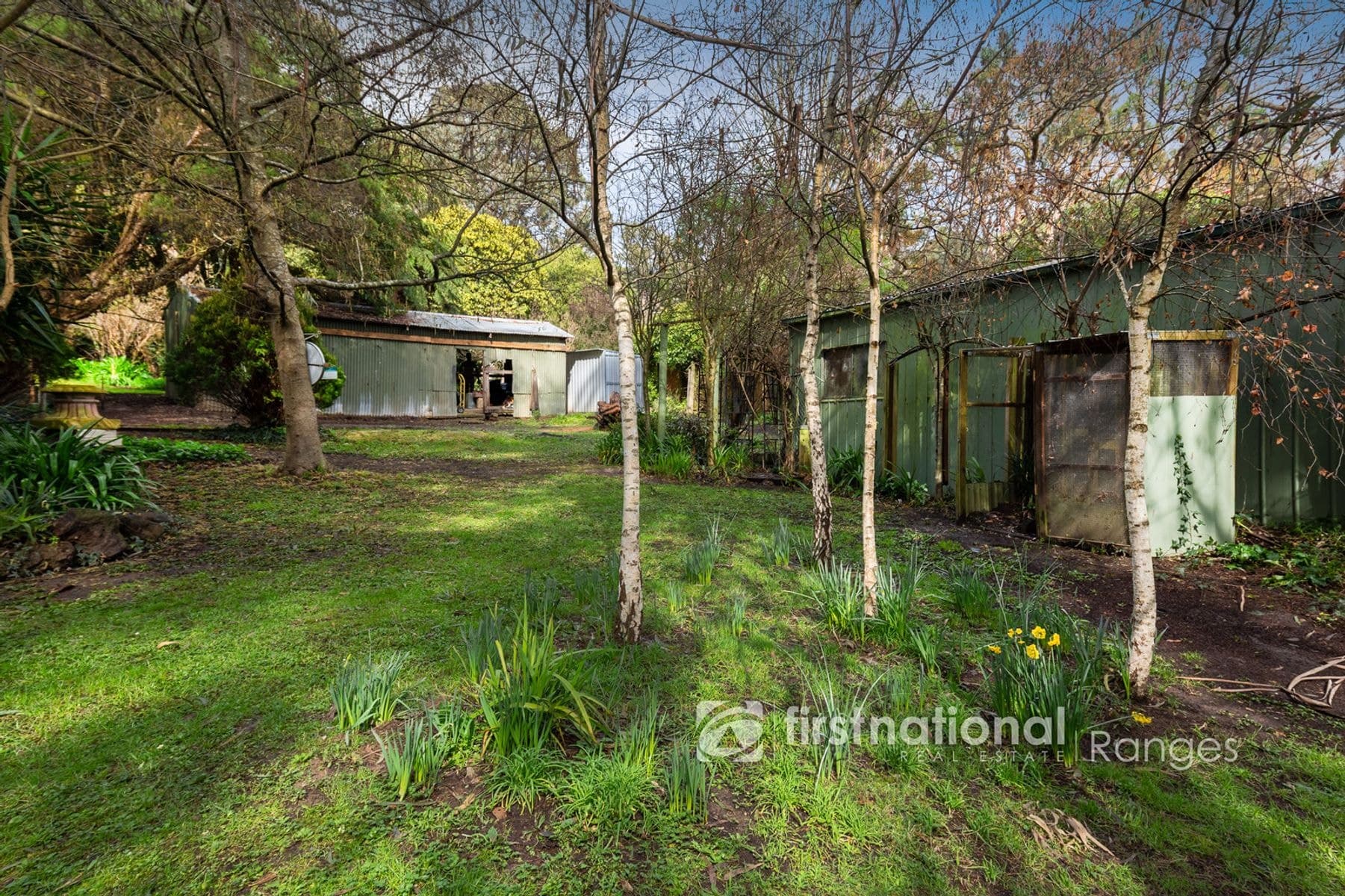 141 Woori Yallock Road, Cockatoo VIC 3781, Cockatoo - Thumbnail 3