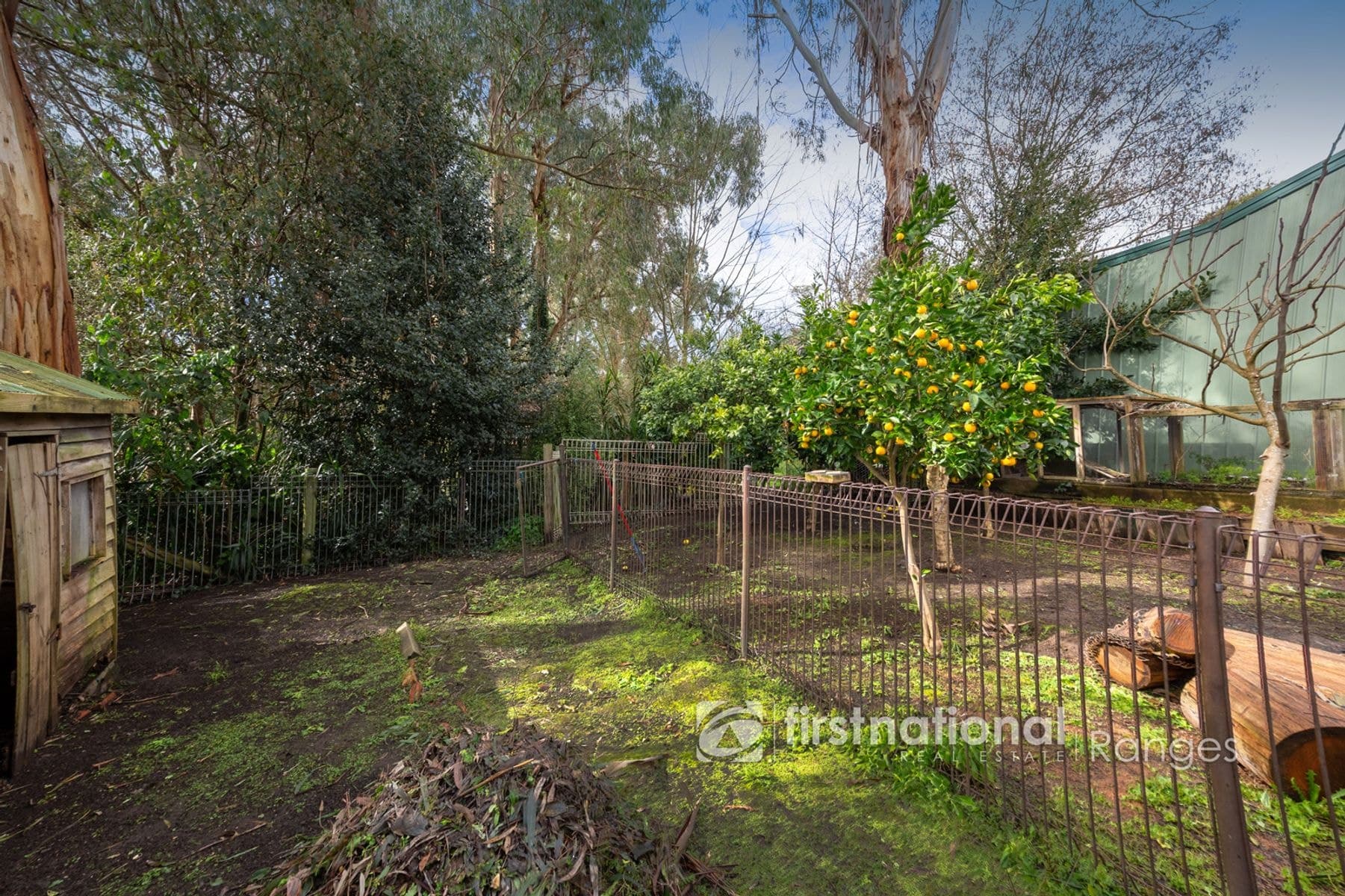 141 Woori Yallock Road, Cockatoo VIC 3781, Cockatoo - Thumbnail 4