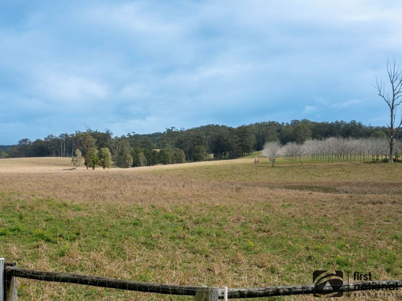 Lot 2/1239 Bucca Road, Bucca NSW 2450, Bucca - Thumbnail 2
