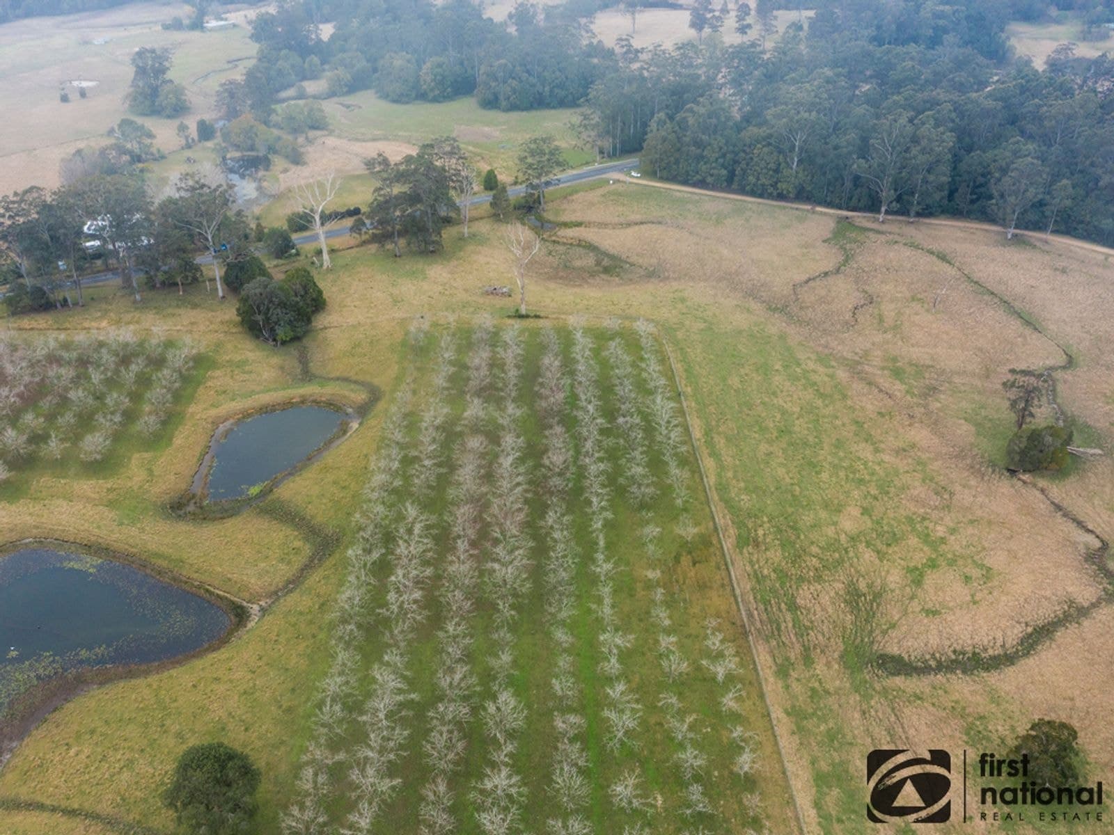 Lot 2/1239 Bucca Road, Bucca NSW 2450, Bucca - Thumbnail 5